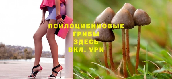 соль ск Вяземский
