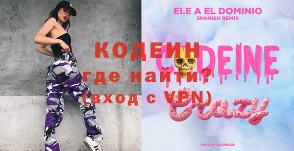 соль ск Вяземский
