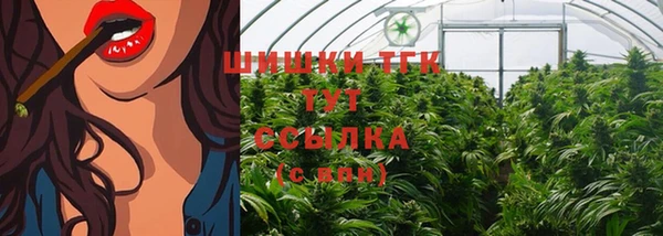 соль ск Вяземский