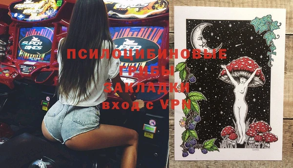 дурь Горнозаводск